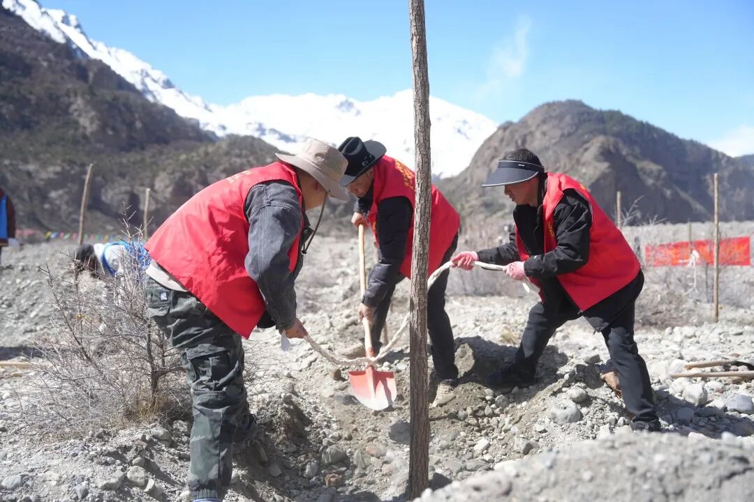 微信图片_20260424180106_1129_11.jpg 微信图片_20260424180106_1129_11.jpg