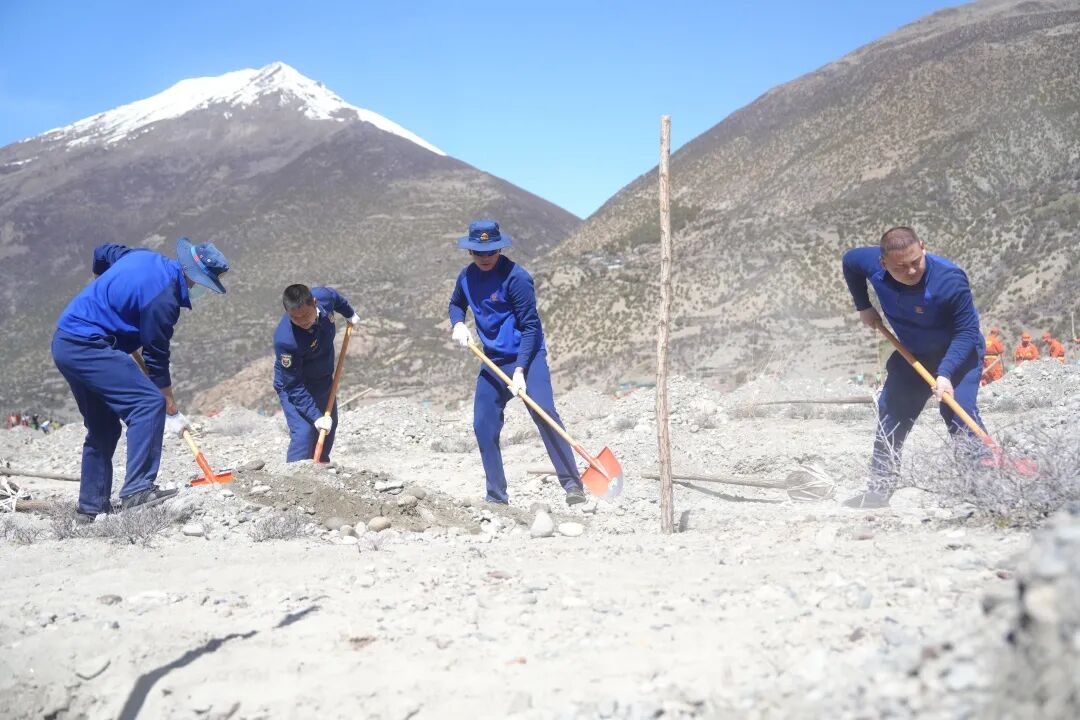 DSC06686(1).jpg DSC06686(1).jpg