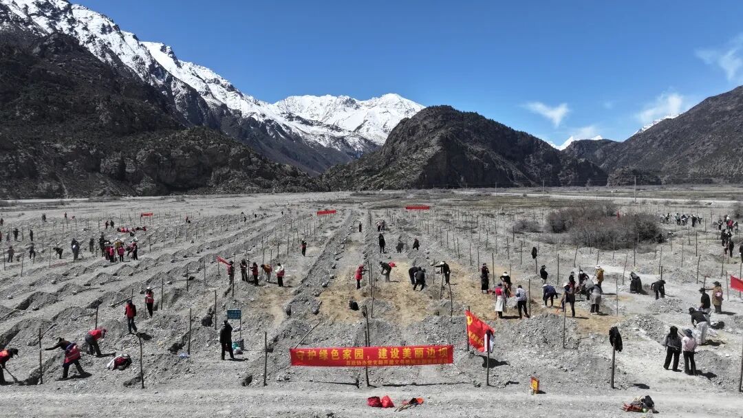 微信图片_20260424180203_1132_11.jpg 微信图片_20260424180203_1132_11.jpg