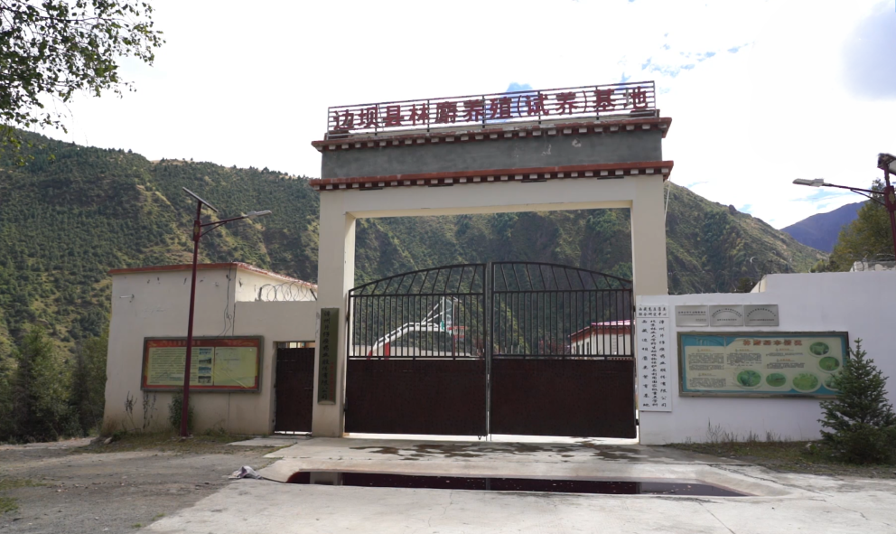 林麝养殖基地.png 林麝养殖基地.png